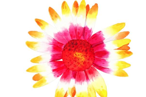 属虎男2025年运势