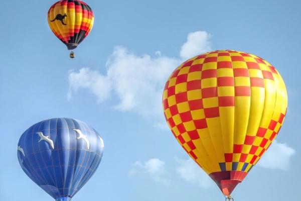 属牛2025年有大祸缠身,会遇到什么灾难