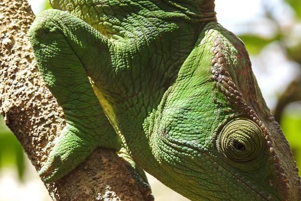 77年蛇女在2025全年运势最新