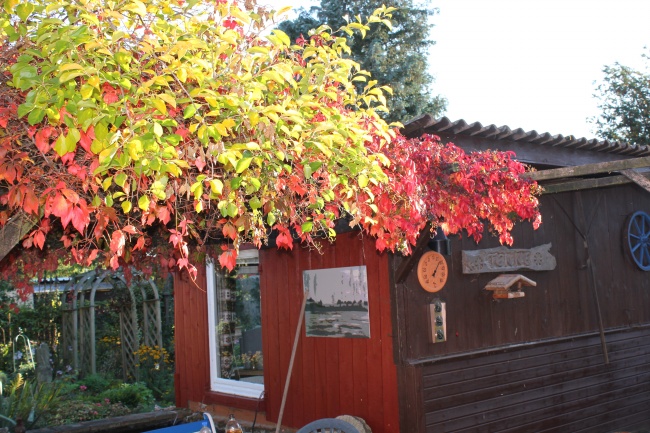 88年龙2025年有三喜,88年属龙人2025有哪三件喜事