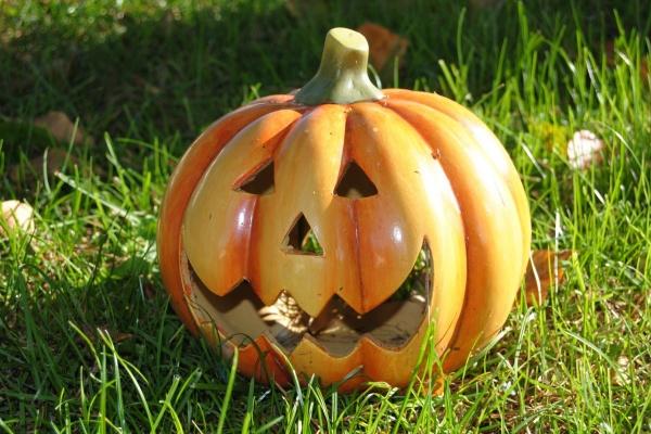 2025年属相运势及运程 2025乙巳年十二生肖运势详解