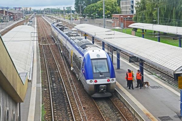 梦见嚷架是什么启示