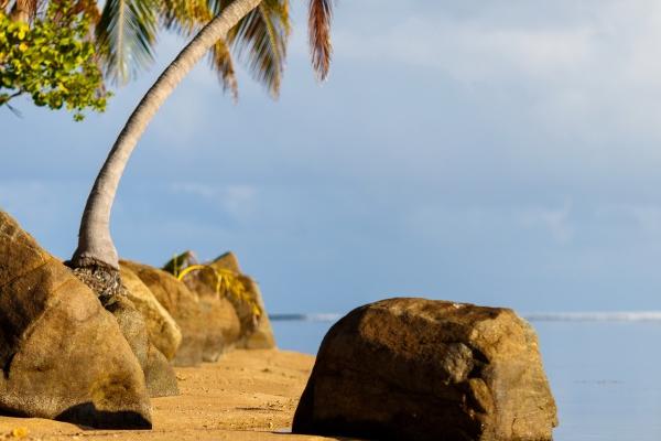 兔的最佳三个贵人是谁