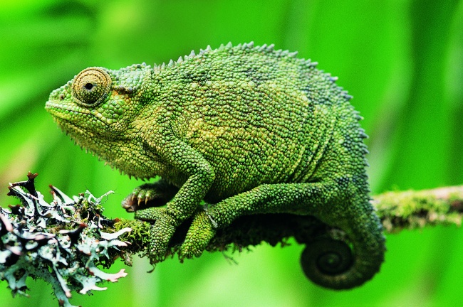 梦到了用人有什么寓意吗