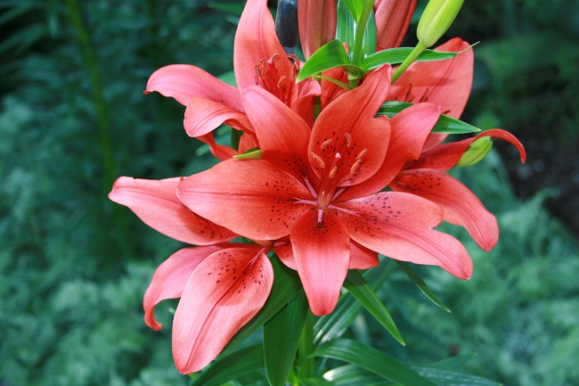 梦到了汤撒了预兆了什么吗