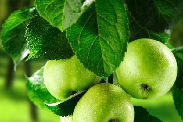 梦到了鸡没毛有什么含义