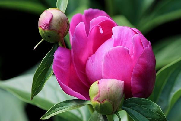 梦到盘子摔碎有什么征兆