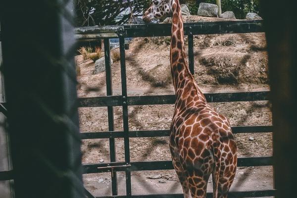 梦见面试没过有什么寓意吗