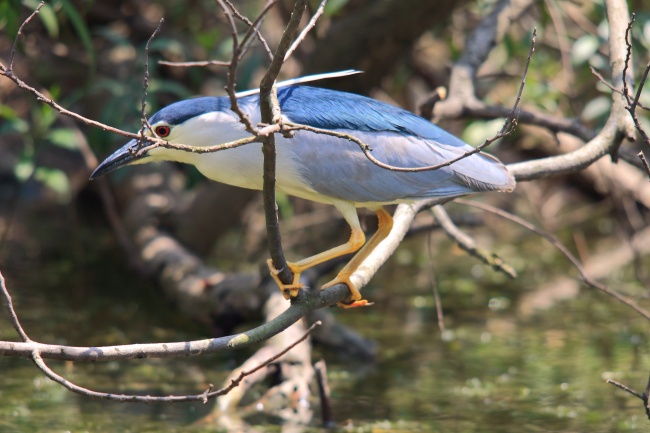 梦到摔西瓜有什么寓意吗