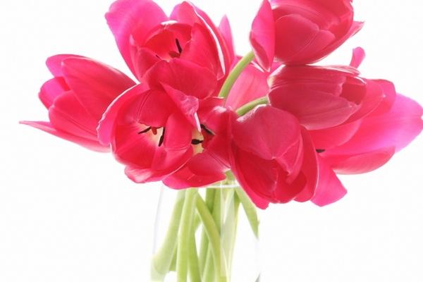 梦见捡到风筝预示什么