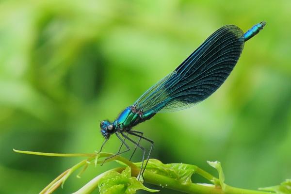 梦到卖食品有什么含义