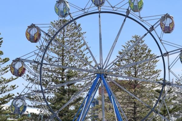 梦见会武术有什么含义