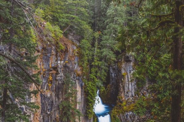 鼠人和什么属相能聚财