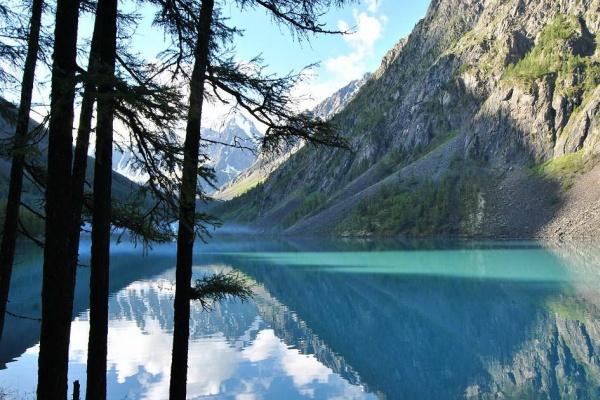 2025年十二生肖运程完整版 最新运势分析