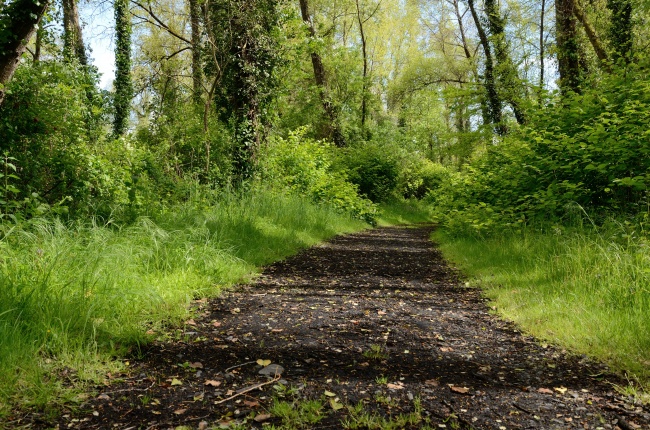 梦见手机丢失了是什么预兆