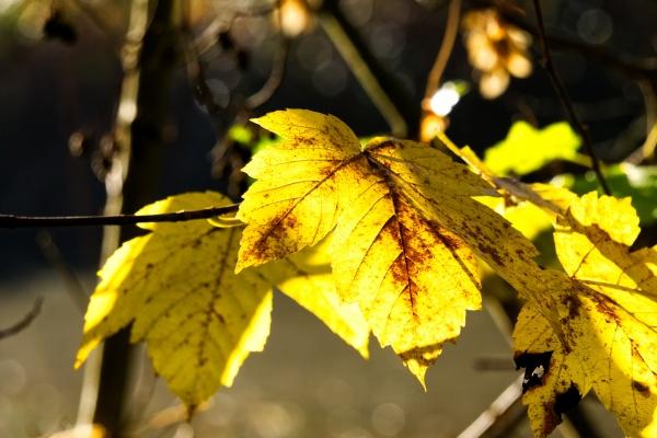 66年属马59岁2025劫难，66年属马59岁2025劫难