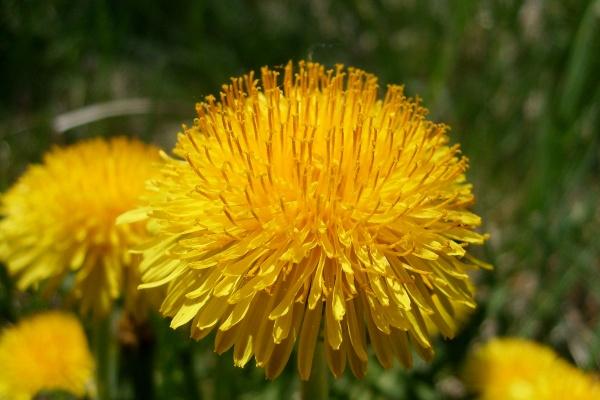 梦到了皮带扣坏了会是什么预兆