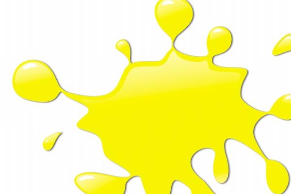 生肖鸡最在乎的人是谁