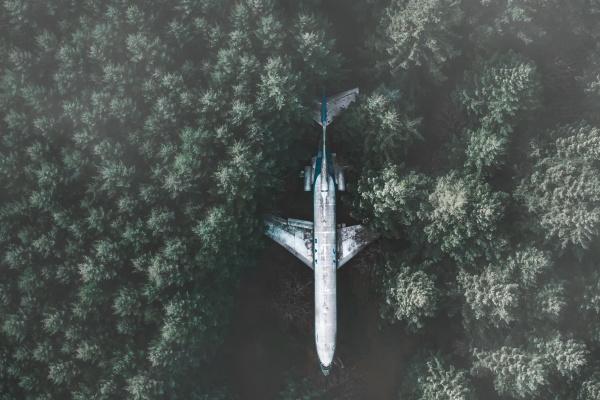 2025年冲哪一年的狗2025年哪一年的属狗人运气最差