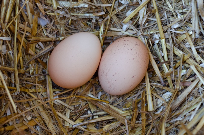 梦到别人家新房子代表什么