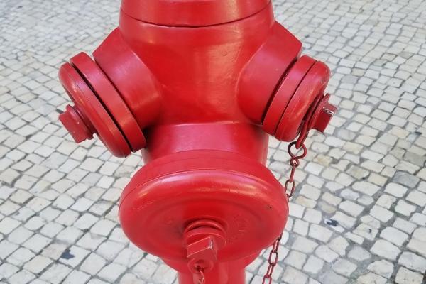 最懂得利用男人的生肖女