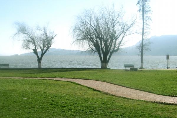 老鼠和哪个属相犯冲