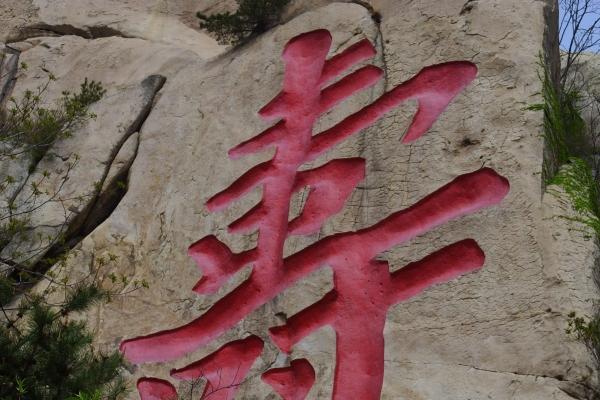 梦到划坡好不好