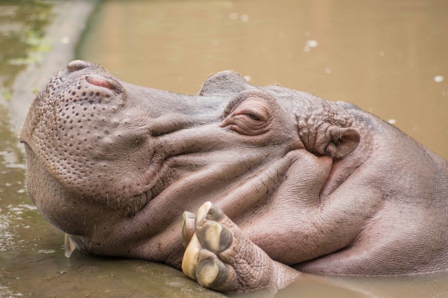 梦到了妻子约会是吉兆吗?