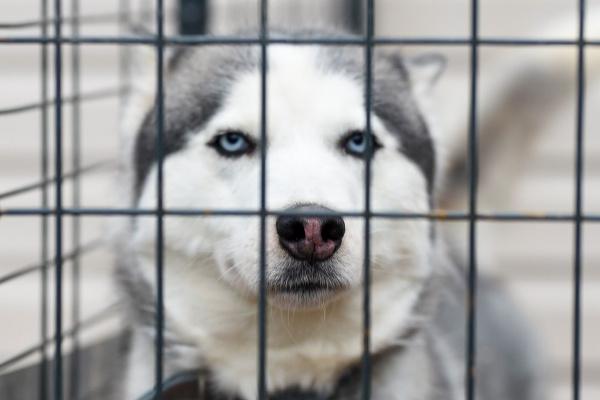 智商情商双高的生肖女