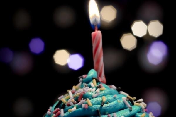 生肖蛇愿意把真心托付给谁