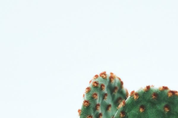 梦到鸡蛋摔碎了是好是坏