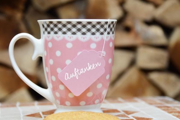 仙指阁运势 2024年12月25日十二生肖运势解析