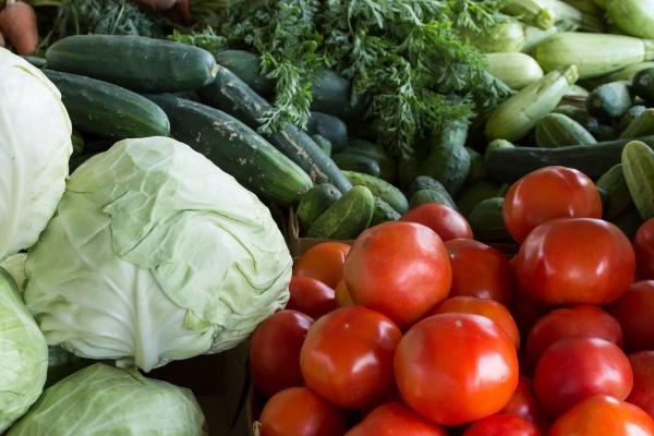 2025年什么生肖最好 哪些生肖运势最好