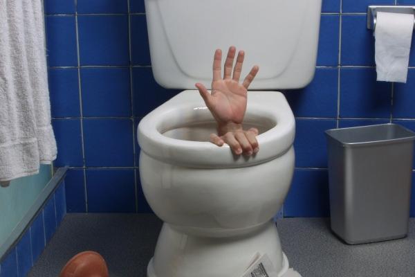 梦见番茄炒鸡蛋是什么启示