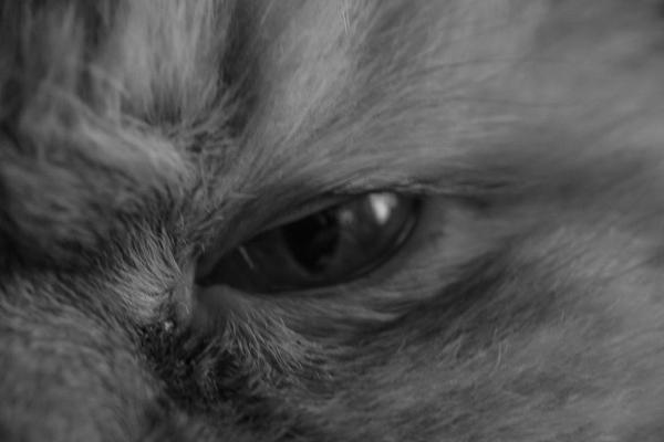 梦见起电火是好是坏