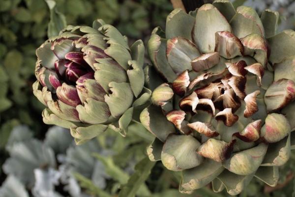 梦到了抱朋友是什么预兆