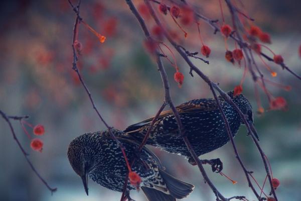 梦到自己砍死人会怎么样