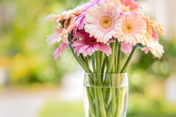 属猴最心疼哪个生肖女 生肖猴最深爱的人