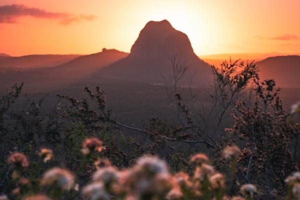 梦见花白蛇有什么预兆