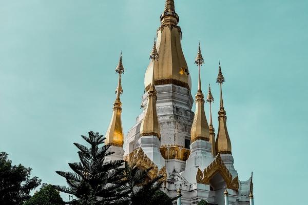 梦见死人生病了有什么意思