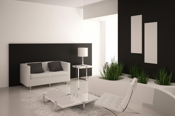 生肖属兔2025年注意事项及吉凶