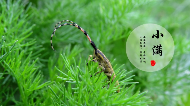 梦见别人骗钱代表着什么