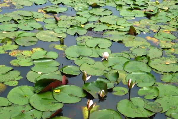 梦到妈妈和外婆是什么预兆