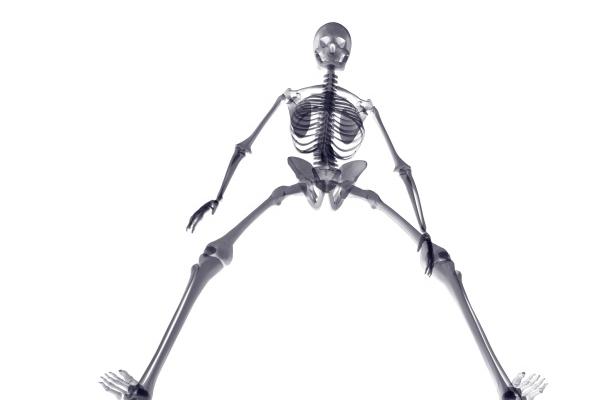 梦见公则有什么意义吗