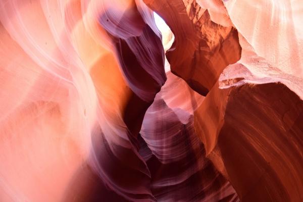 梦到吃木薯预示什么