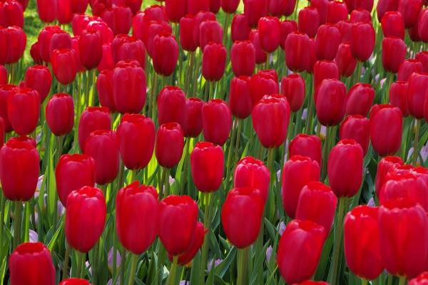 梦到了电坏了是什么意思