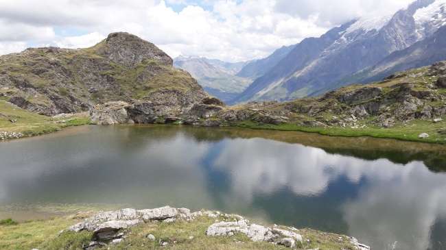 梦见应骋是凶兆还是吉兆