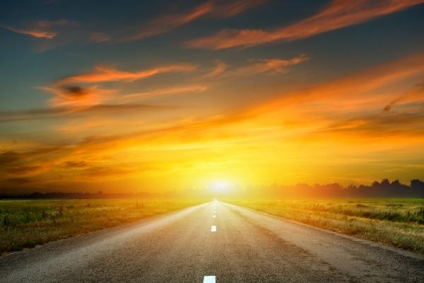 仙指阁运势 2025年1月8日十二生肖运势解析