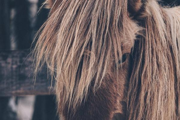 梦见男人女人裸体有什么意思