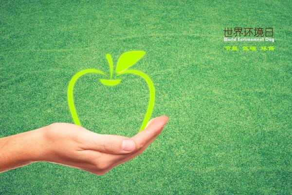 梦到了全家逃亡预示什么